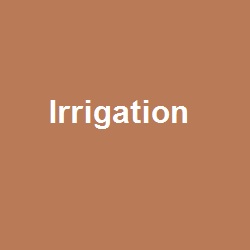 Irrigation by Dinesh Sir