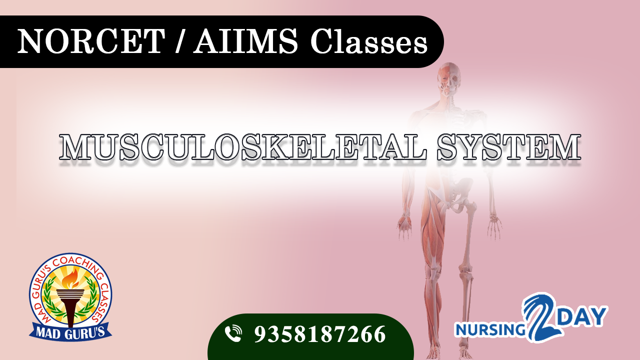 MUSCULOSKELETAL SYSTEM (NORCET)