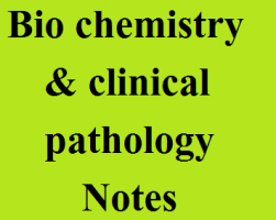 Bio Chemistry &amp; Clinical Pathology