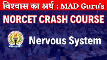 Nervous System Classes || Norcet Crash Course