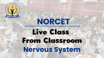 Nervous System || Norcet Live Classes From Classroom