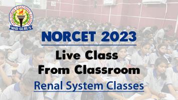 Renal System Classes || Norcet classes from classroom
